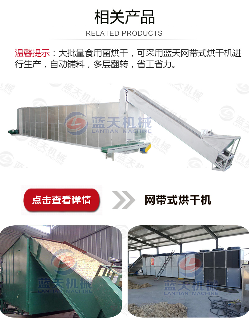 威廉希尔·williamhill(中国)中文官网