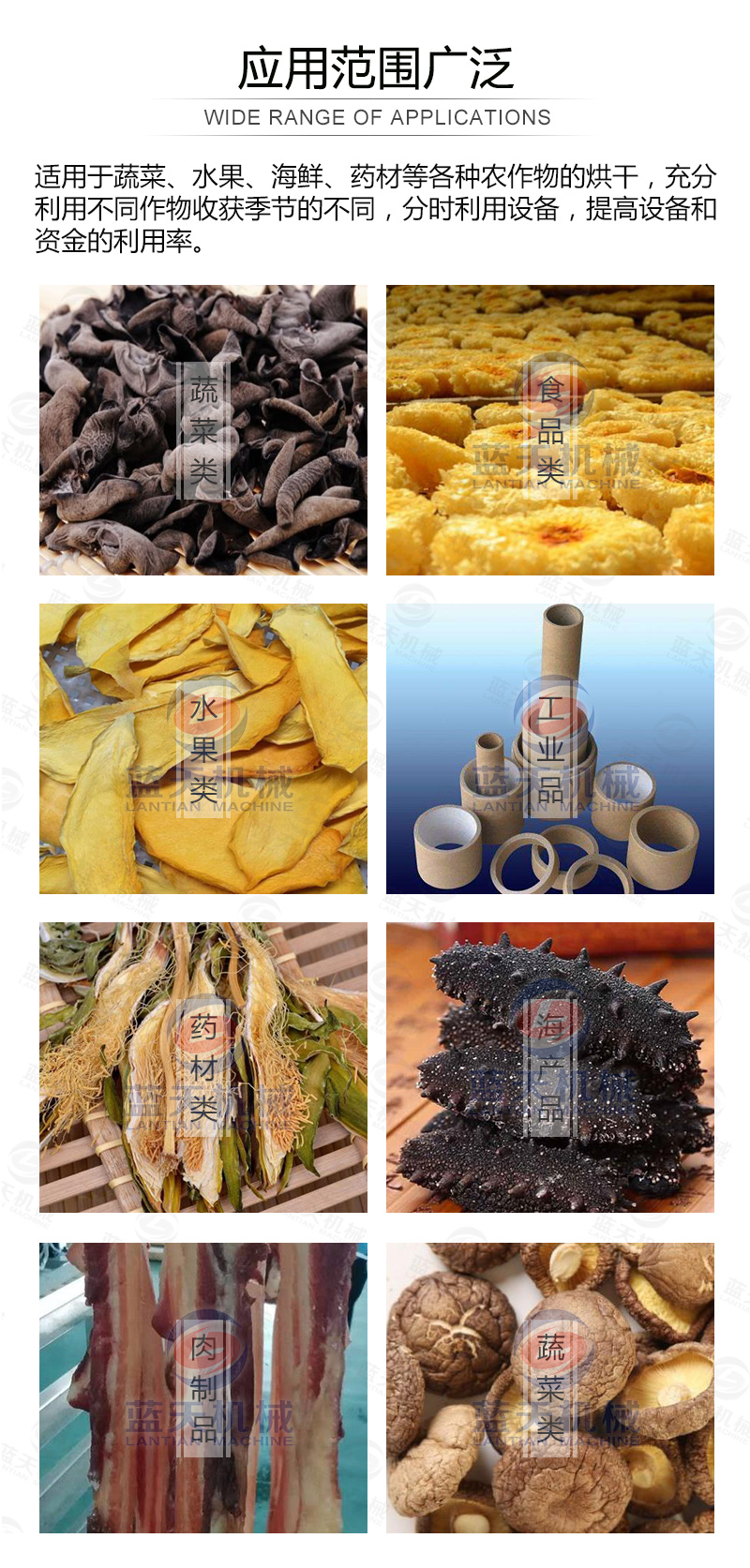 威廉希尔·williamhill(中国)中文官网