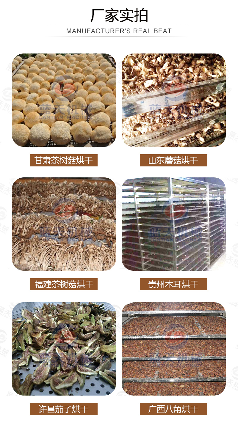 威廉希尔·williamhill(中国)中文官网