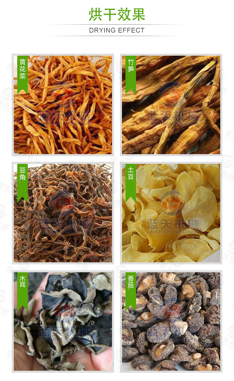 威廉希尔·williamhill(中国)中文官网