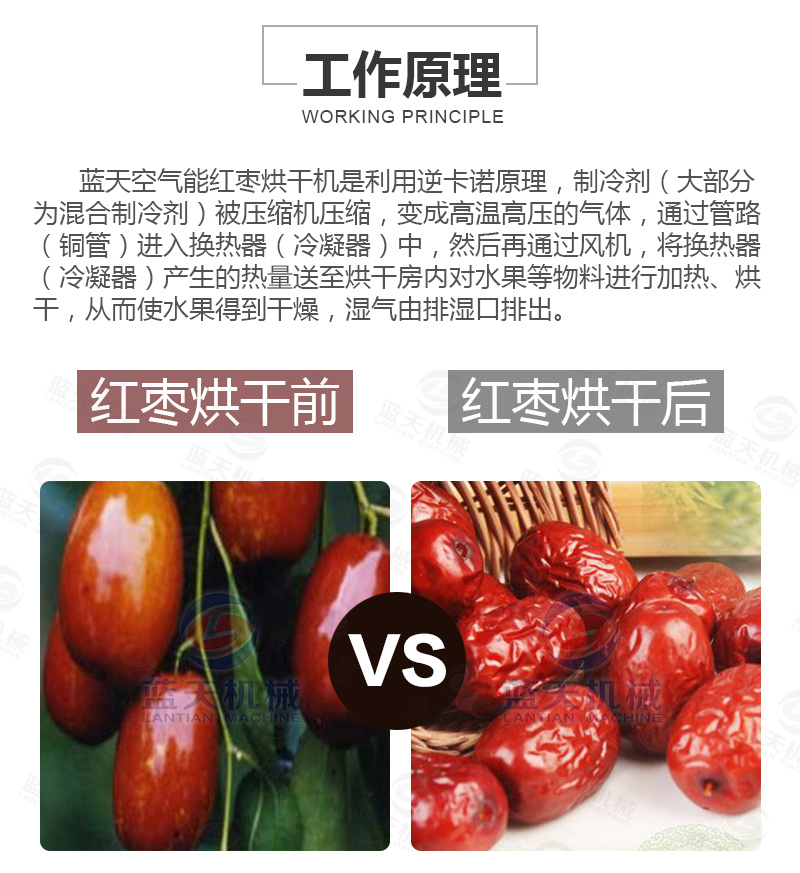 威廉希尔·williamhill(中国)中文官网