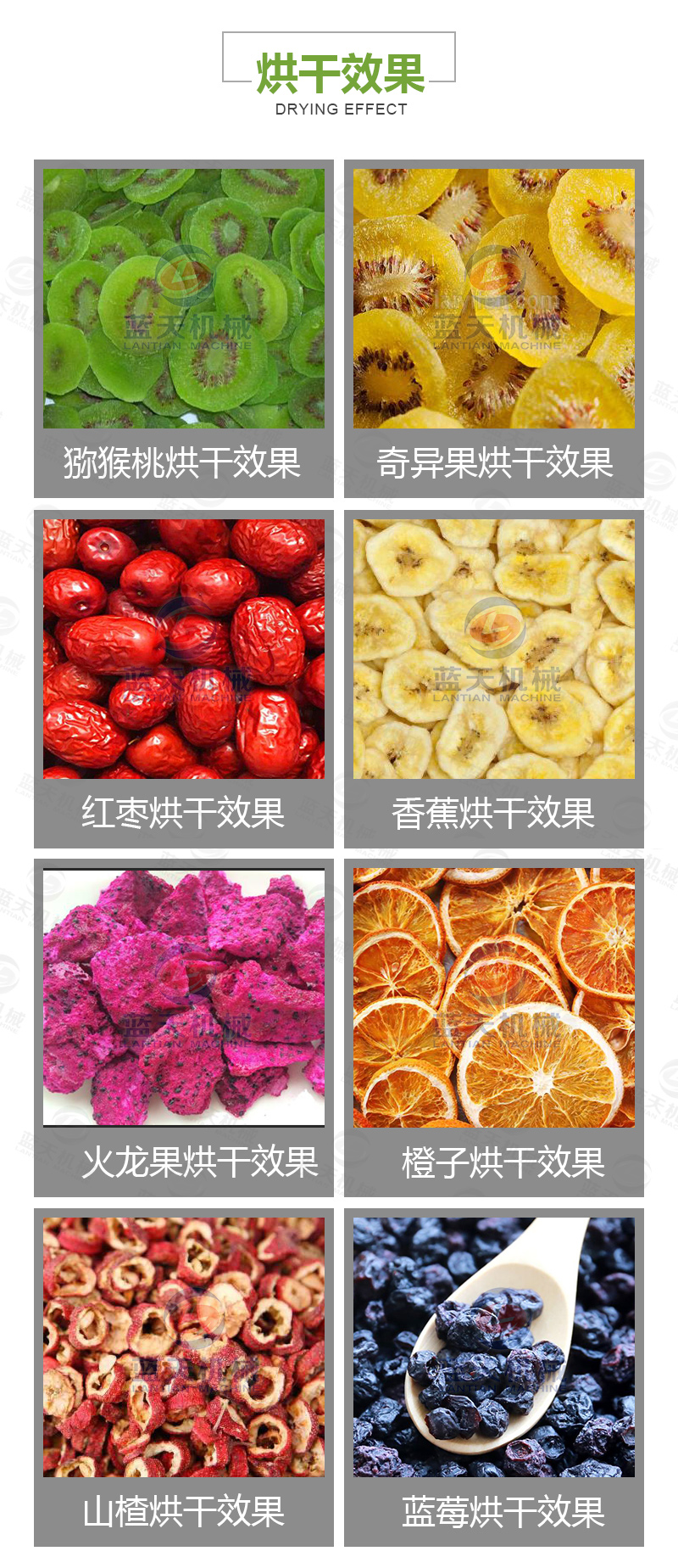 威廉希尔·williamhill(中国)中文官网