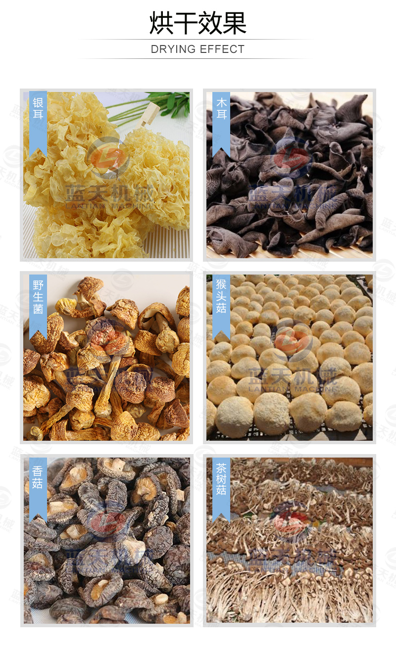 威廉希尔·williamhill(中国)中文官网