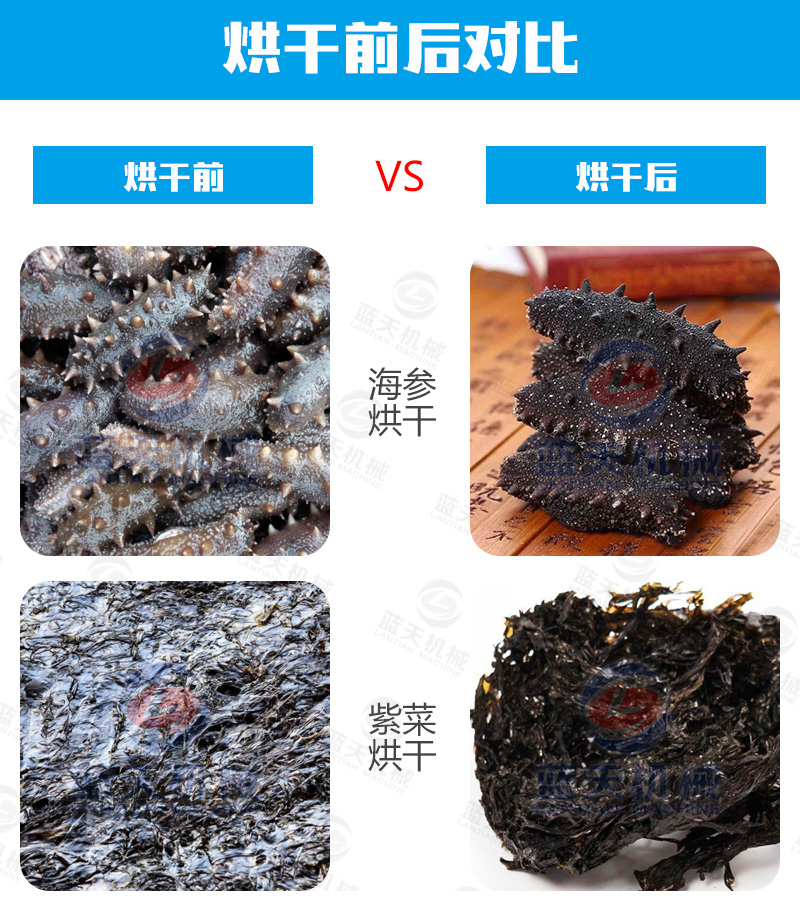 威廉希尔·williamhill(中国)中文官网