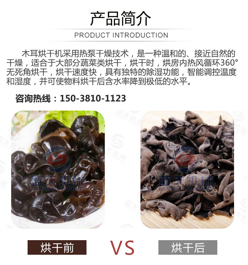 威廉希尔·williamhill(中国)中文官网