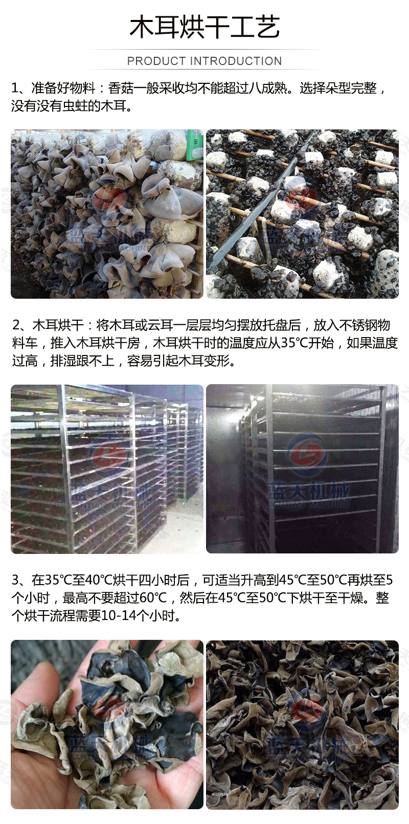 威廉希尔·williamhill(中国)中文官网