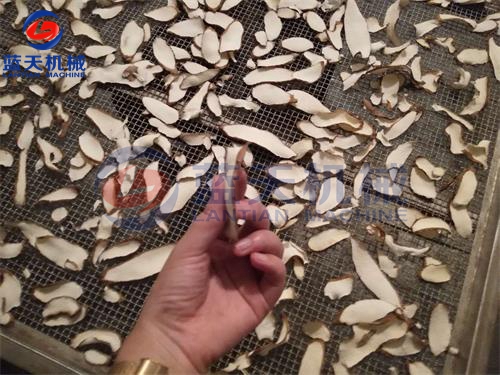 威廉希尔·williamhill(中国)中文官网