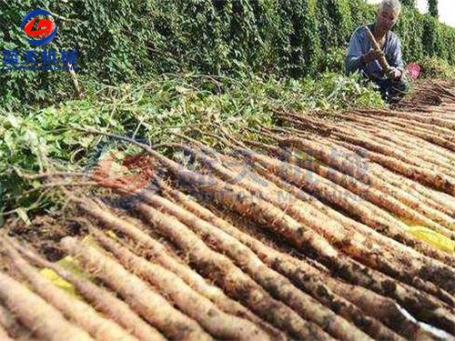 威廉希尔·williamhill(中国)中文官网