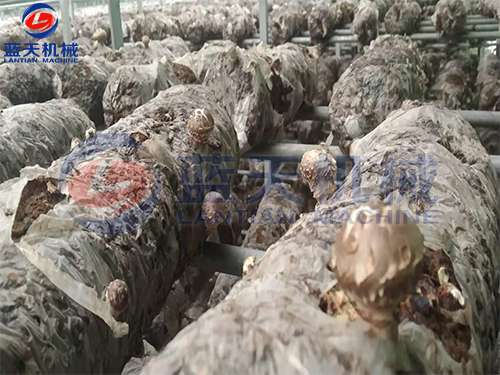 威廉希尔·williamhill(中国)中文官网