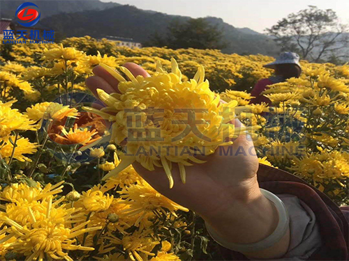 威廉希尔·williamhill(中国)中文官网