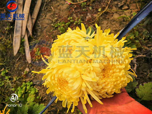 威廉希尔·williamhill(中国)中文官网